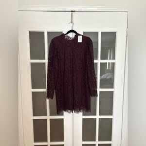 Aritzia Long Sleeve Lace Dress in Deep Purple